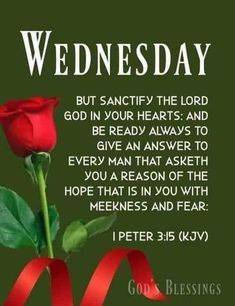 a red rose with a ribbon around it and the words, wednesday but sanctify the lord god in your hearts and be ready always to give an answer