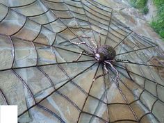 a spider sitting on top of a stone wall