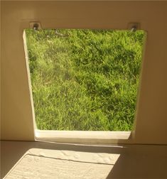 an open window with grass in the background