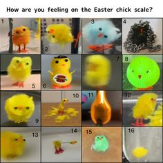 a collage of pictures showing how many different items are made to look like chicks