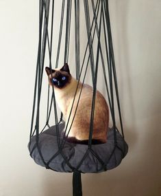 a siamese cat sitting on top of a cushion in a wire cage hanging from the ceiling