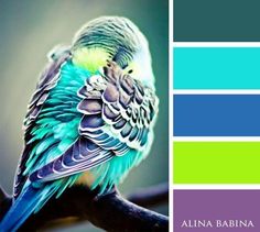 a bird sitting on top of a tree branch next to a color swatch in shades of blue, green and purple