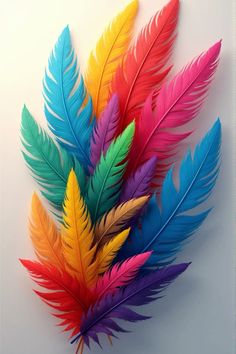 multicolored feathers are arranged on a white background