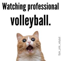 an orange and white cat with it's mouth wide open in front of the words watching professional volleyball