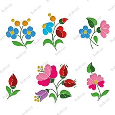 colorful flowers and leaves on white background