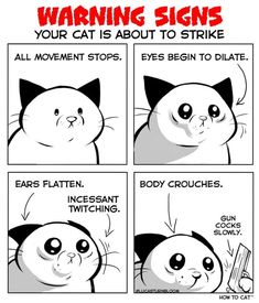 a comic strip with cats saying warning signs