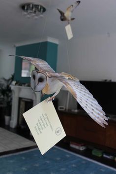 an owl flying through the air with a note attached to it