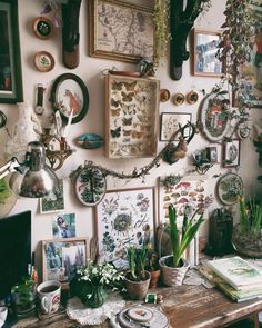 there are many framed pictures on the wall with plants in pots and plates around them