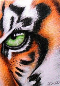 the eye of a tiger with green eyes