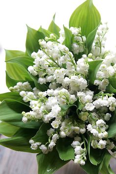 a bouquet of white flowers sitting on top of a wooden table next to green leaves