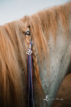 a close up of a horse's head with braids on it and the mane