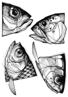 three fish are shown in black and white, one is drawn with pen on paper