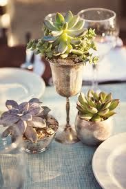 three succulents are placed in silver vases on a blue table cloth