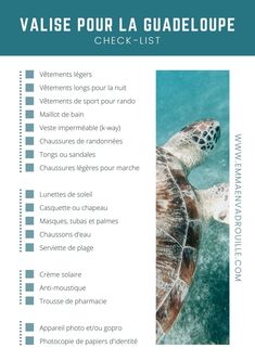 a checklist with an image of a turtle in the water