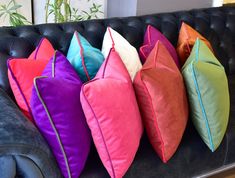 colorful pillows are lined up on a black leather couch in front of a potted plant