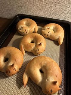 four bagels with faces drawn on them sitting on a baking sheet in the shape of cats