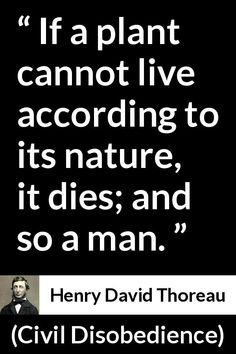 a quote from henry david thore on the subject of civil disobedienceness