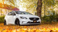 a white car parked in front of a tree with leaves on the ground around it