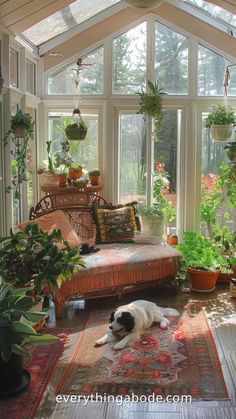 a dog laying on top of a rug in a room filled with potted plants