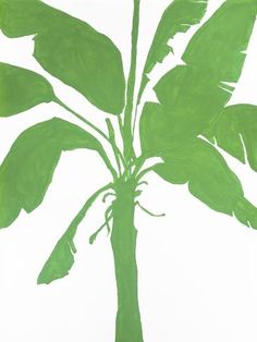 size: 12x9in Giclee Print: Silhouette of Palm 2 by Filipo Ioco : Artists Silhouette Canvas, Silhouette Painting, Green Frame, Limited Edition Art Print, Canvas Set, Big Canvas Art, Botanical Art, Canvas Print Wall, High Quality Art Prints