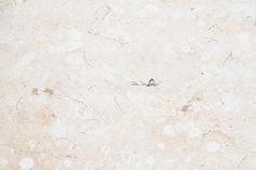 an image of a white marble surface with small cracks in the middle and two birds on it