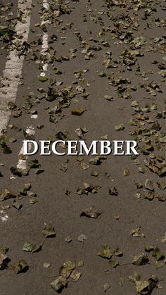 the words december are written in white on an asphalt surface with leaves scattered all over it