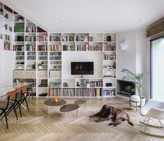 a dog laying on the floor in front of a bookshelf