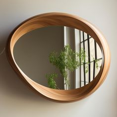 a mirror reflecting a potted plant on the wall