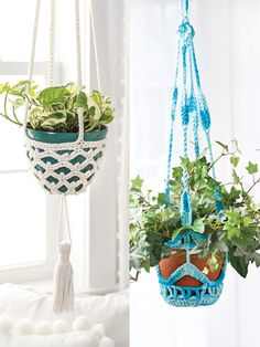 two hanging planters with plants in them, one is blue and the other has green leaves