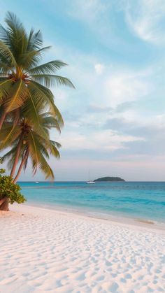 a beach with palm trees and blue water