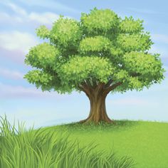 an illustration of a green tree on a grassy hill with blue sky in the background