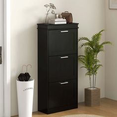 a tall black cabinet next to a potted plant