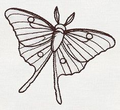 a drawing of a butterfly with dots on it's wings