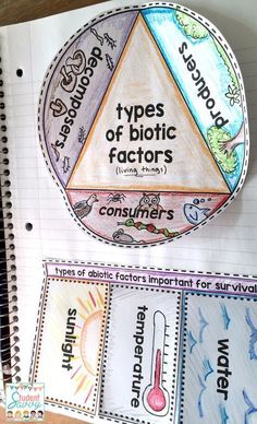 three types of bioticic factor posters on top of a notebook with other items