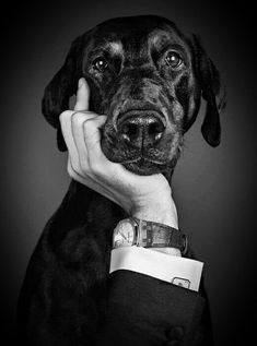 a black and white photo of a dog in a suit with his hand on his face