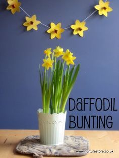 some yellow daffodils are in a white vase on a table with a blue wall