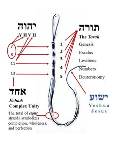 an illustrated diagram of the various parts of a fish's hook and how to use it