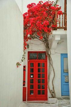 a red door and tree in front of a white building with blue doors on either side