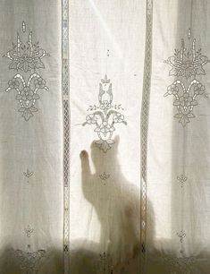 a white cat standing on top of a window sill in front of a curtain