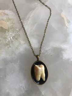 This authentic human molar coated in resin for durability and shine resets on a brass setting and hangs from a matching chain. Tooth Jewellery, 2024 Wishlist, Tooth Necklace, Brass Necklace, June 2024, Clay Ideas, Tooth Fairy, Pendant Necklaces, Necklace Etsy