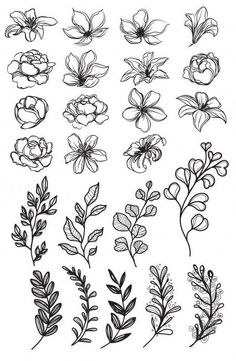 flowers and leaves are drawn in black ink on a white background, each with different colors