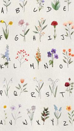 the alphabet is made up of flowers and plants with letters on them, all in different colors