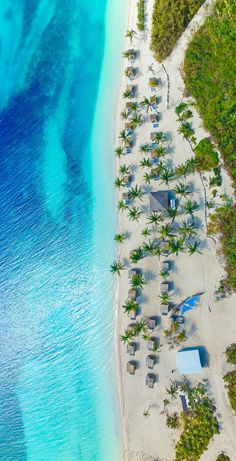 an aerial view of a sandy beach and ocean with palm trees in the foreground