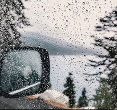 rain drops on the windshield of a car as it drives down a road near trees