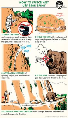 an illustrated poster with instructions on how to use bear spray