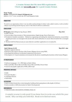 a sample resume for an it professional with no work experience, is shown in this image