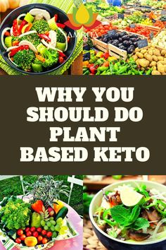 Know what matters when transitioning from high carb to low carb diet. Read our Beginner’s Guide to Plant-Based Keto. Low Carb Plant Based Dinner, Plant Based Low Carb Meals, Low Carb Vegan Meal Plan, High Protein Vegan Keto Recipes, Plant Based Keto Meal Plan, Plant Based Keto Food List, Low Carb Plant Based Meals, Plant Based Recipes Low Carb, Low Carb Whole Foods