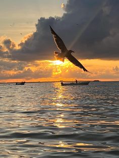 a bird flying over the ocean at sunset