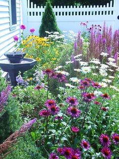 a garden filled with lots of flowers next to a white house