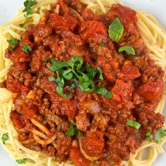 spaghetti with meat sauce and parsley on white plate, ready to be eaten for lunch